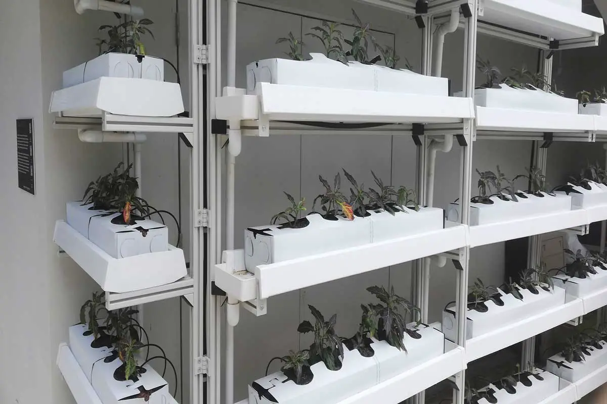 Indoor Hydroponic Vertical Farming