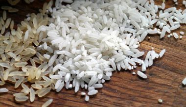 Learning How to grow rice