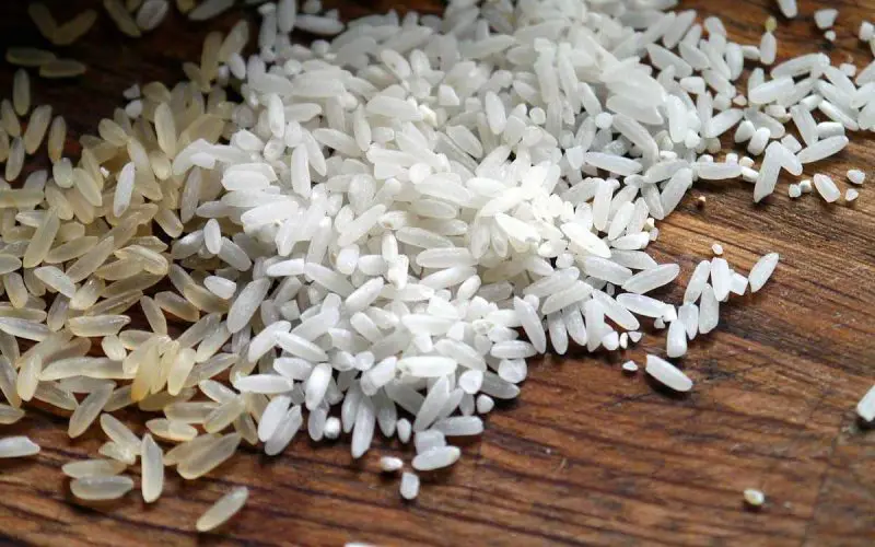 Learning How to grow rice