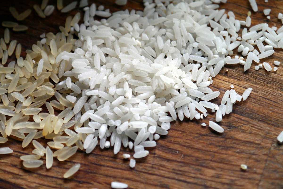 Learning How to grow rice