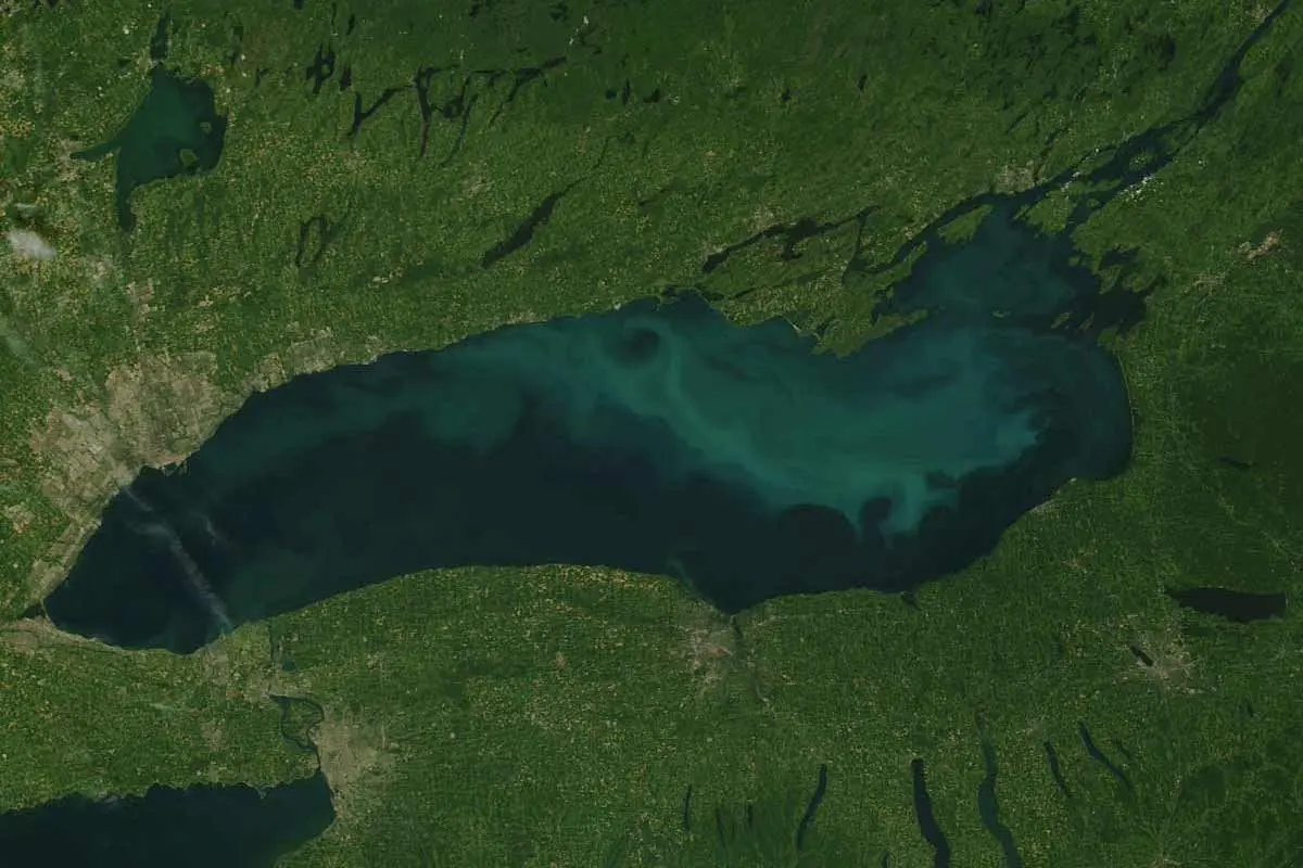 Lake Ontario - Mississauga