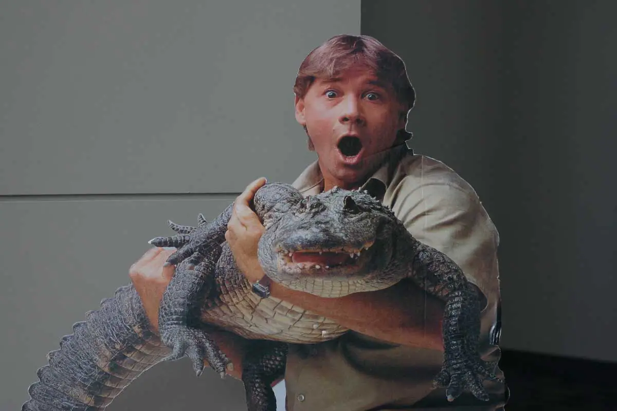 Steve-Irwin-Conservationist-Example