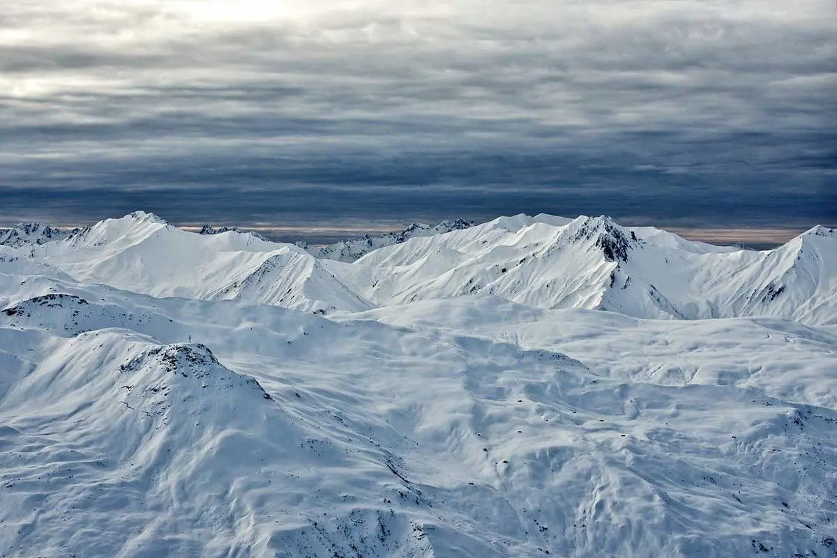 Tundra Ecosystems