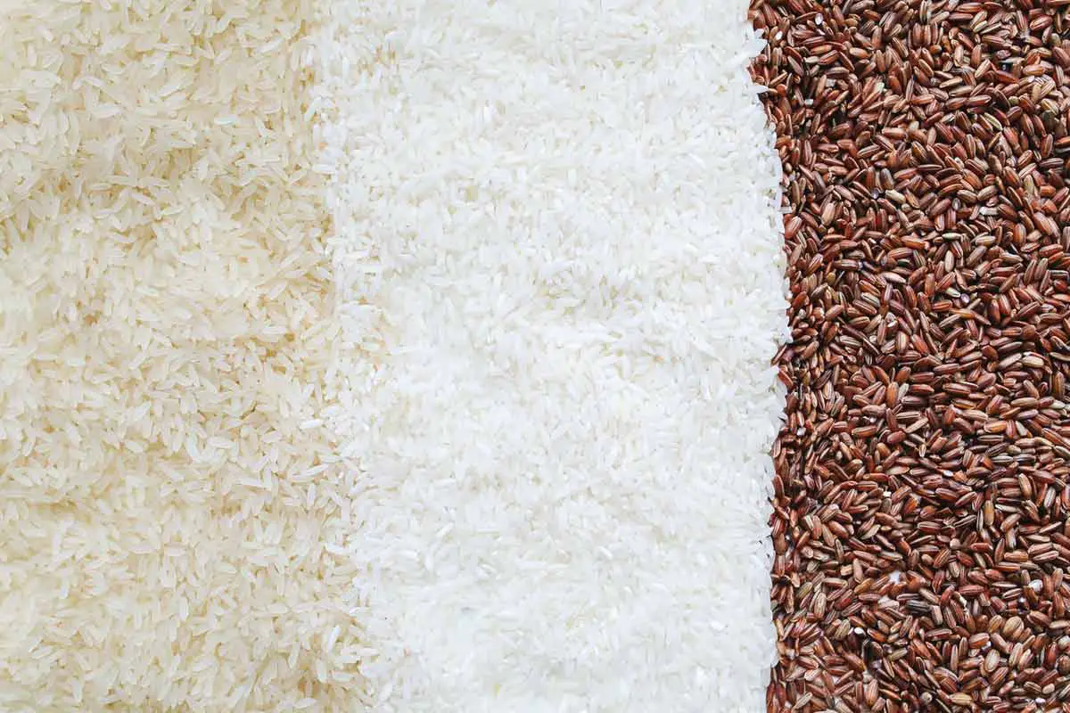 Difference between white and brown rice