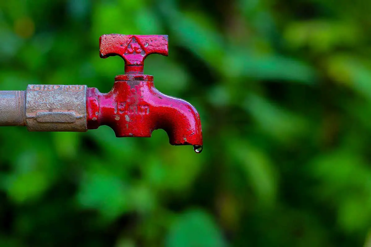 Water Conservation and how it is important