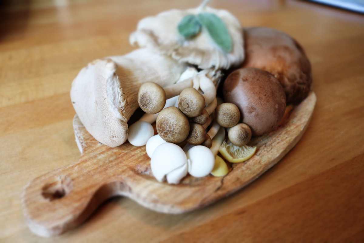 mushrooms grow at home