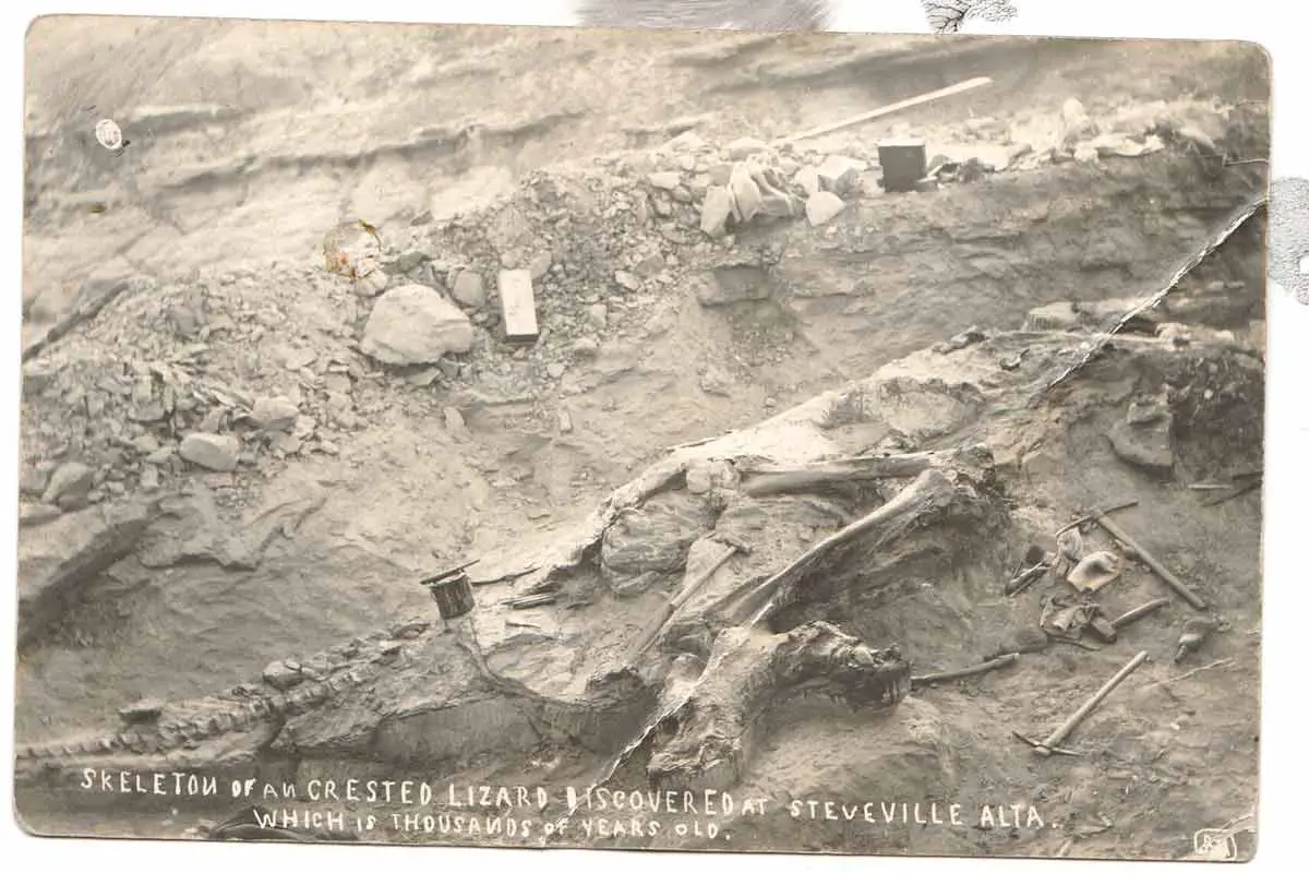 Dinosaur Fossil Dig Site