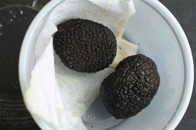 blacktrufflemushrooms Environment Buddy