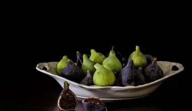 A Serving of Fresh Ripe Figs