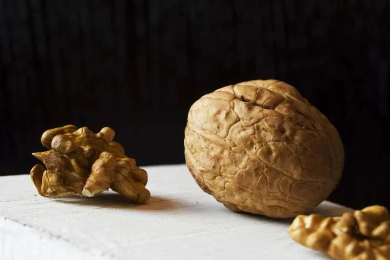 Black Walnuts vs English Walnuts; The Ultimate Showdown! Environment