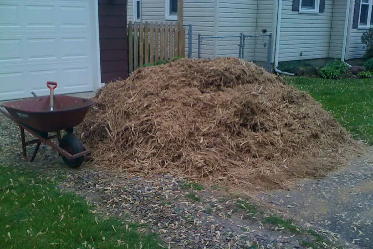 Pile of cedar mulch ready to lay