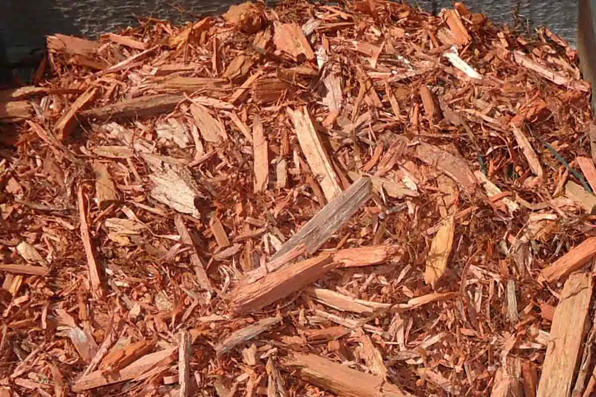 Red Cedar Mulch