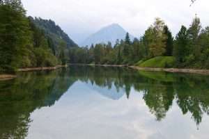 riparian-zone