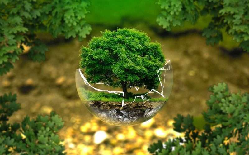 green-earth