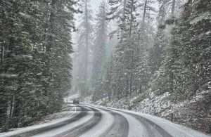 Habitat-fragmentation-by-road