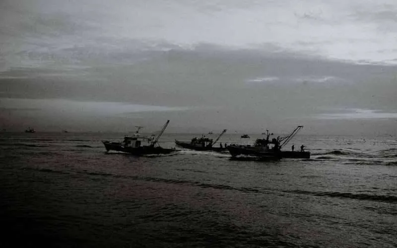 Fishing trawlers at sea